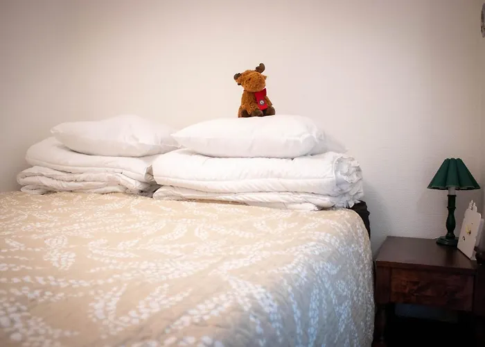 Santa's Row House With Sauna * 罗瓦涅米